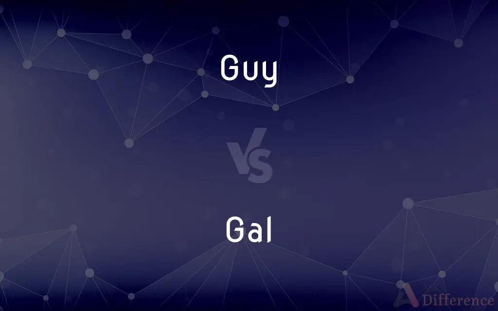 Guy vs. Gal — What's the Difference?