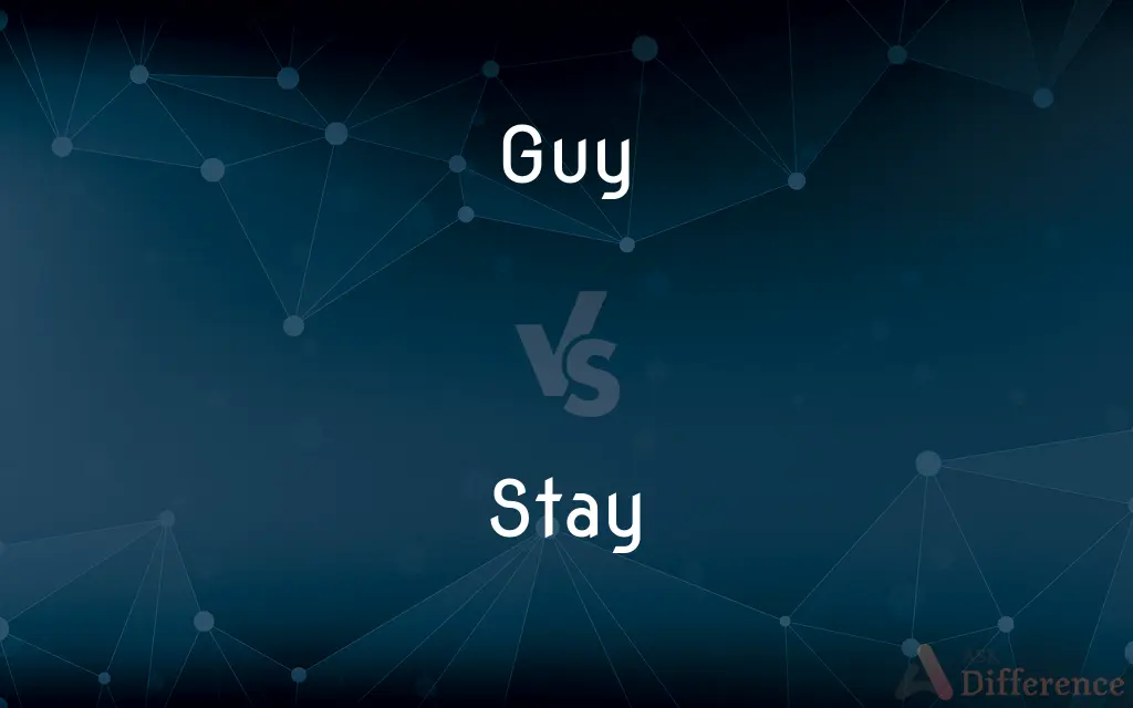 Guy vs. Stay — What's the Difference?