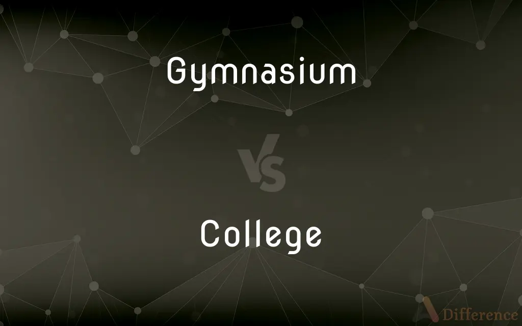 Gymnasium vs. College — What's the Difference?
