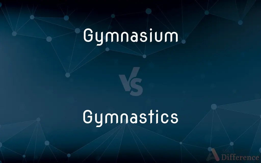 Gymnasium vs. Gymnastics — What's the Difference?