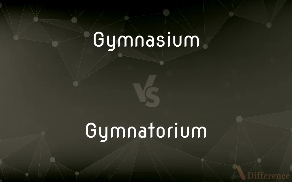 Gymnasium vs. Gymnatorium — What's the Difference?