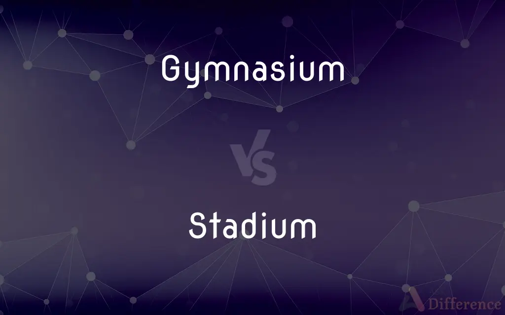 Gymnasium vs. Stadium — What's the Difference?