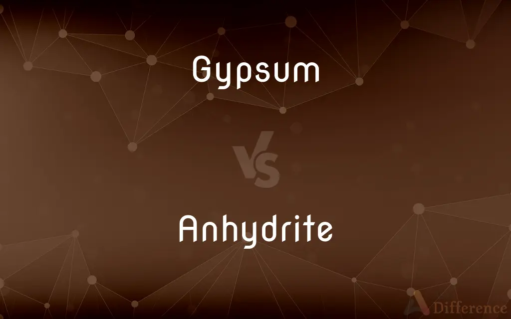 Gypsum vs. Anhydrite — What's the Difference?