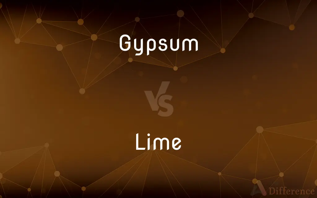 Gypsum vs. Lime — What's the Difference?