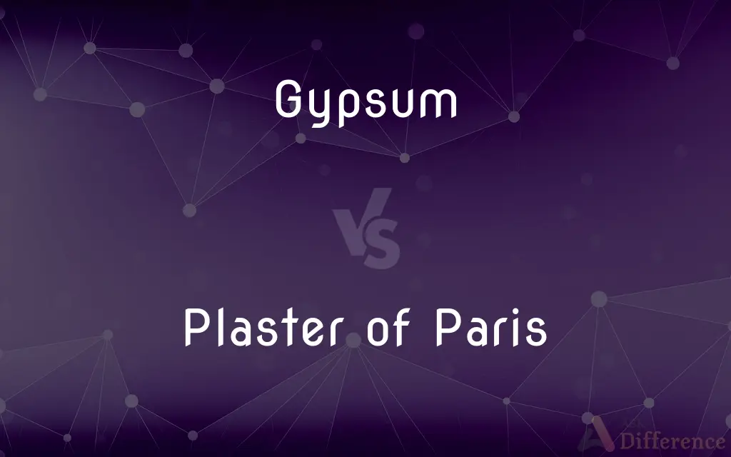 Gypsum vs. Plaster of Paris — What's the Difference?