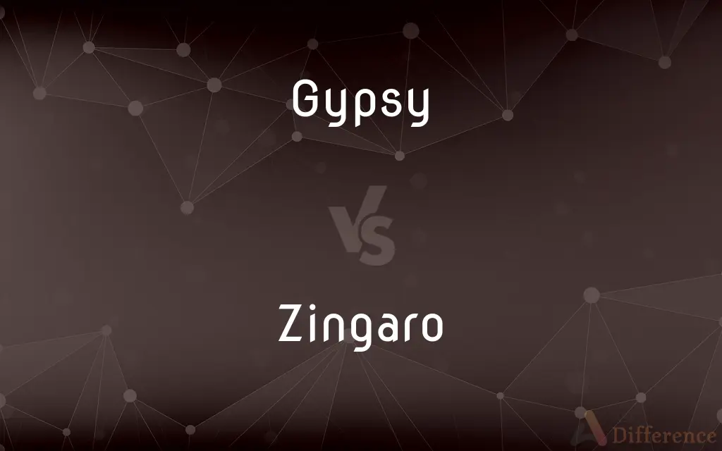 Gypsy vs. Zingaro — What's the Difference?