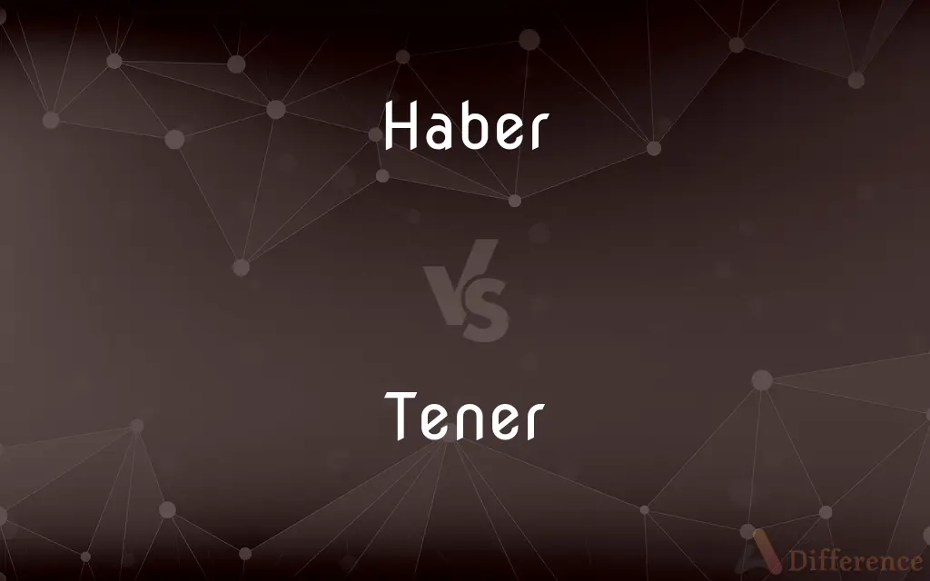 Haber vs. Tener — What's the Difference?