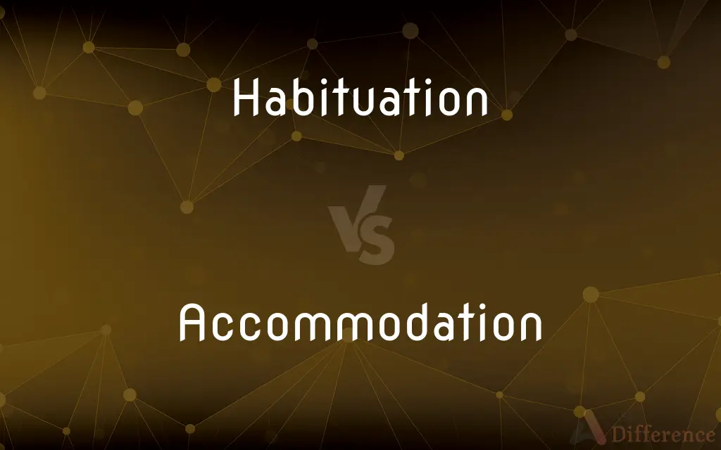 Habituation vs. Accommodation — What's the Difference?