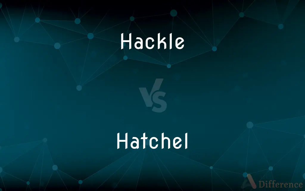 Hackle vs. Hatchel — What's the Difference?