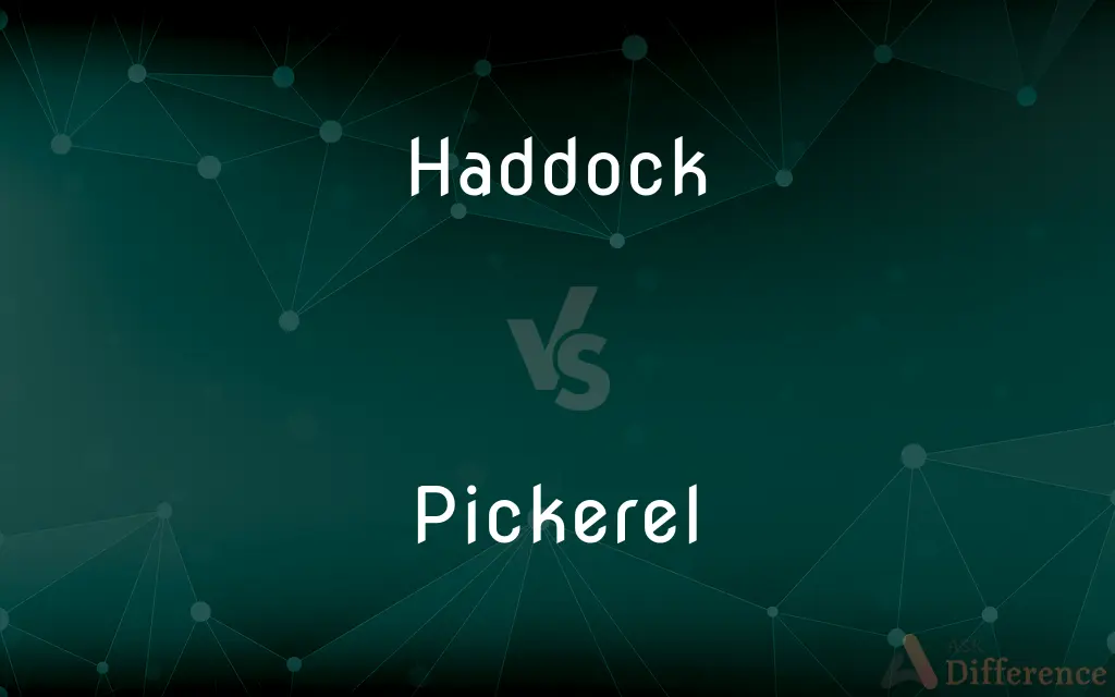 Haddock vs. Pickerel — What's the Difference?