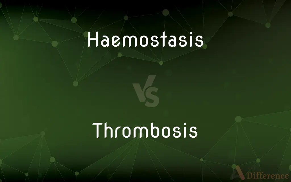 Haemostasis vs. Thrombosis — What's the Difference?