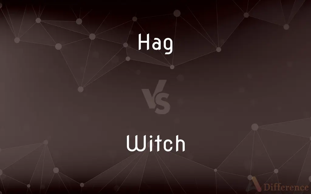 Hag vs. Witch — What's the Difference?