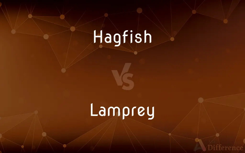 Hagfish vs. Lamprey — What's the Difference?