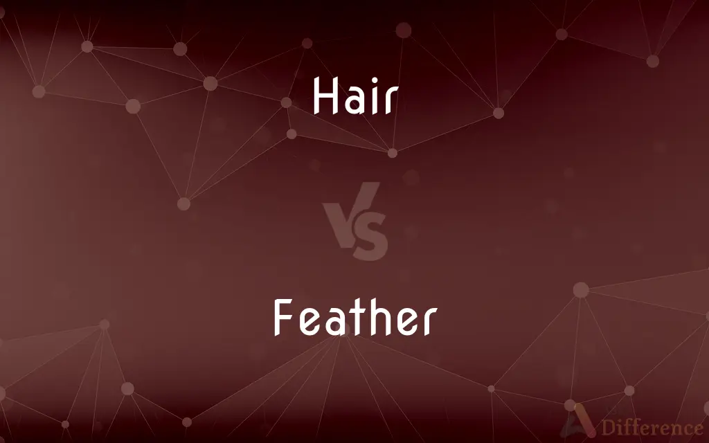 Hair vs. Feather — What's the Difference?
