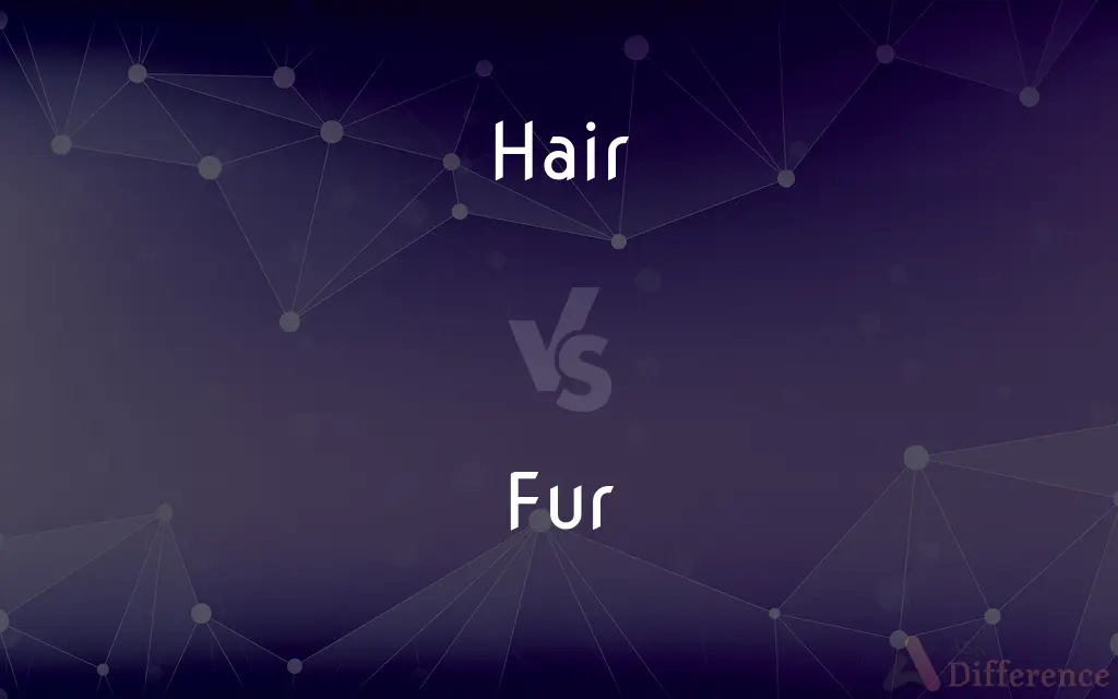 Hair vs. Fur — What's the Difference?
