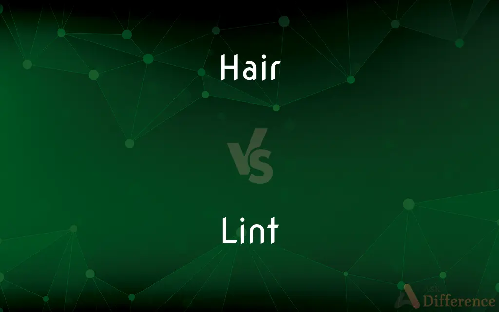 Hair vs. Lint — What's the Difference?