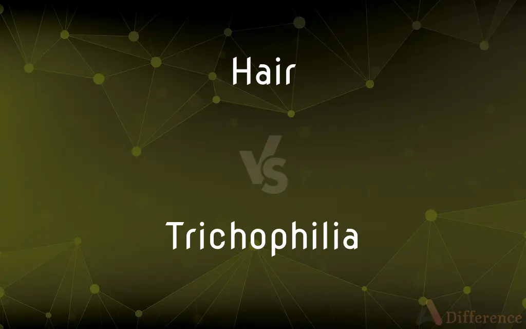 Hair vs. Trichophilia — What's the Difference?
