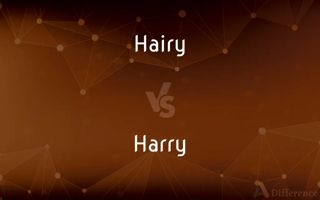 Hairy vs. Harry — What's the Difference?