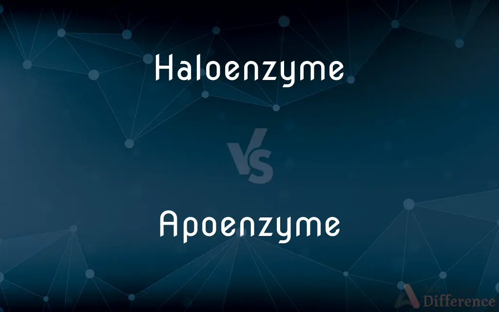 Haloenzyme vs. Apoenzyme — What's the Difference?