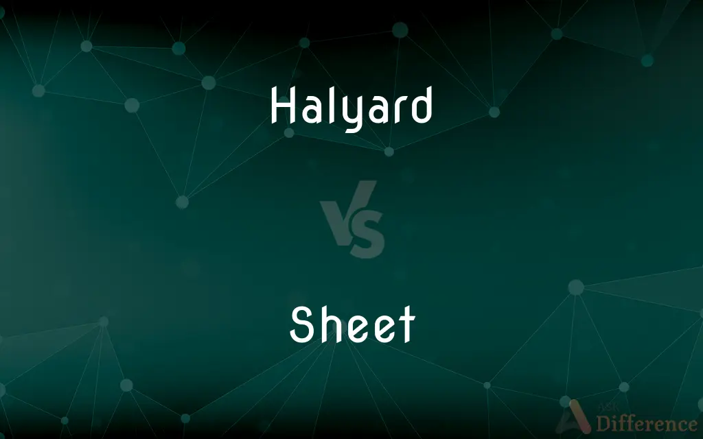 Halyard vs. Sheet — What's the Difference?