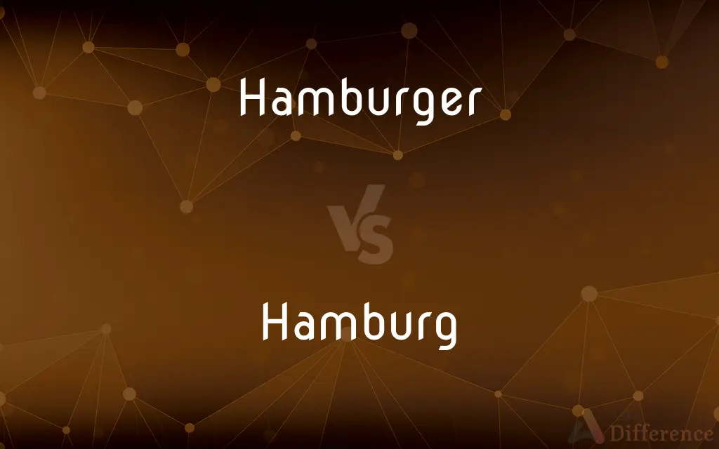 Hamburger vs. Hamburg — What's the Difference?