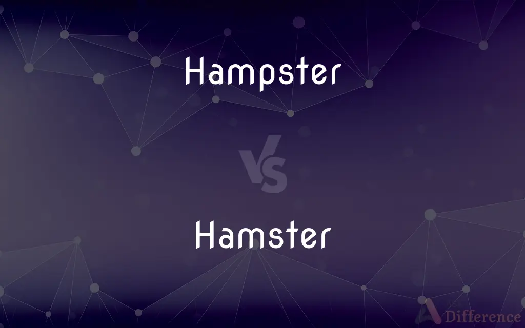 Hampster vs. Hamster — Which is Correct Spelling?