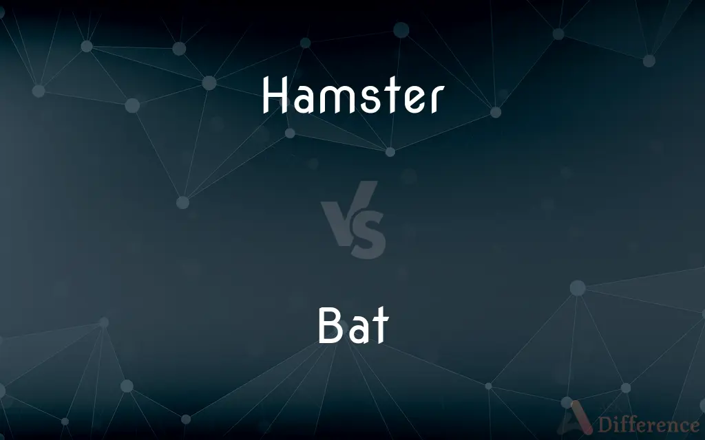 Hamster vs. Bat — What's the Difference?