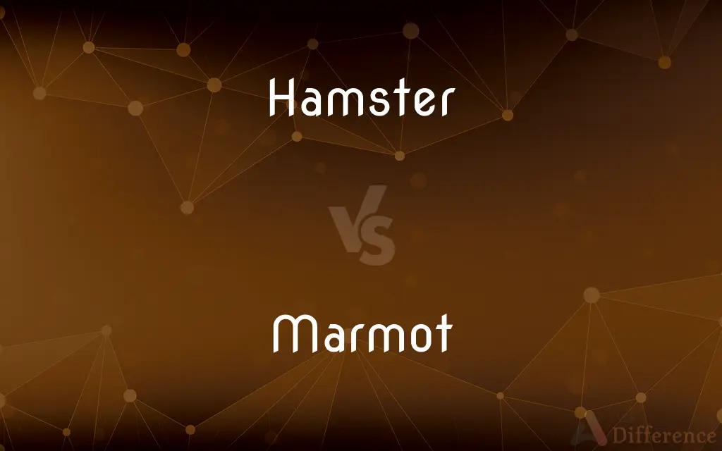 Hamster vs. Marmot — What's the Difference?