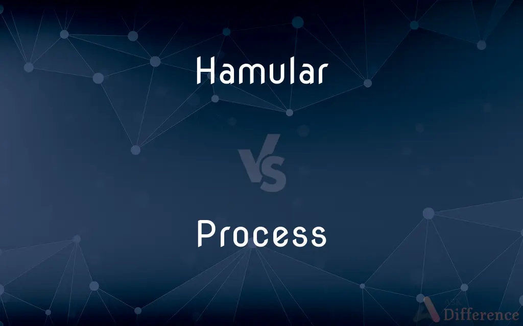 Hamular vs. Process — What's the Difference?
