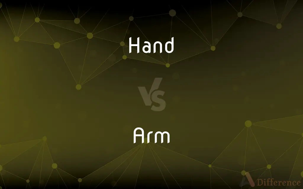 Hand vs. Arm — What's the Difference?
