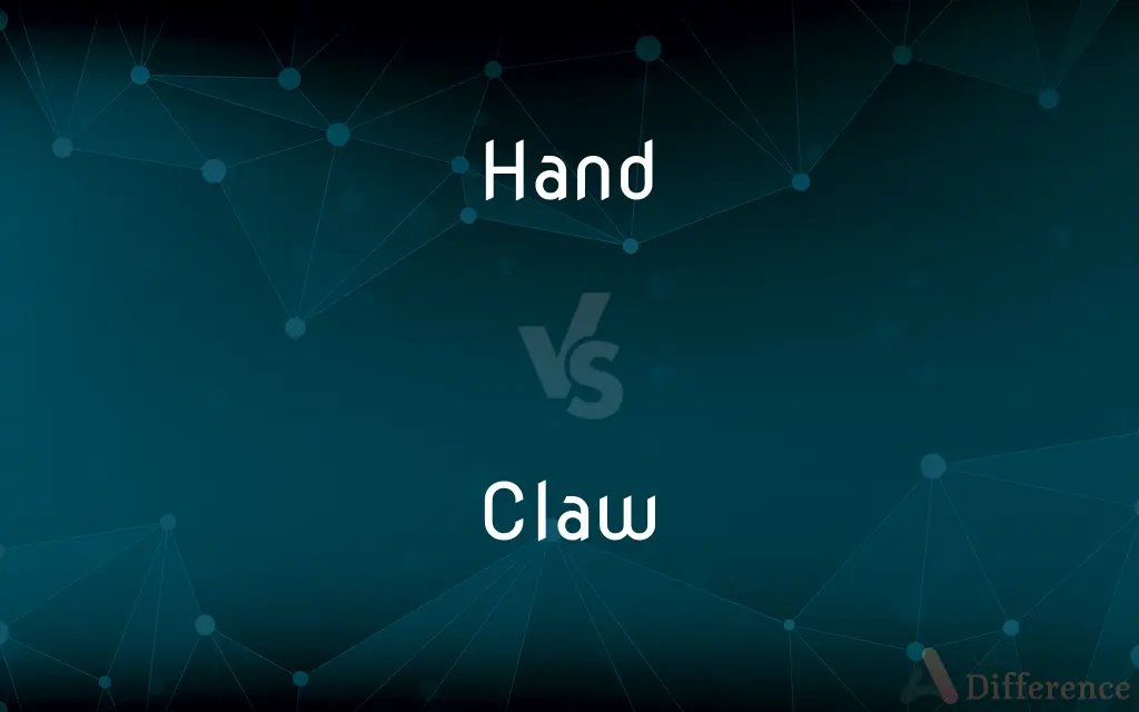 Hand vs. Claw — What's the Difference?