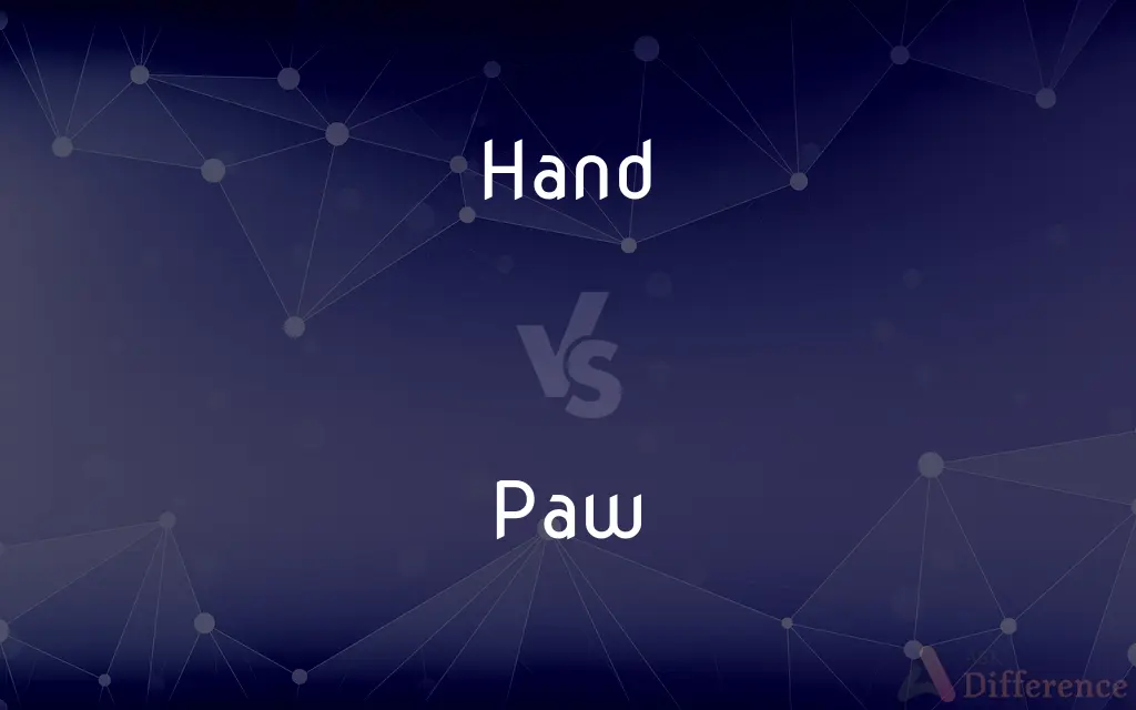 Hand vs. Paw — What's the Difference?