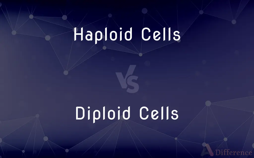Haploid Cells vs. Diploid Cells — What's the Difference?