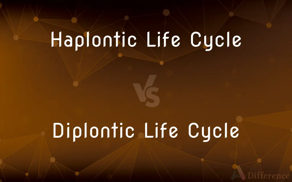 Haplontic Life Cycle vs. Diplontic Life Cycle — What's the Difference?