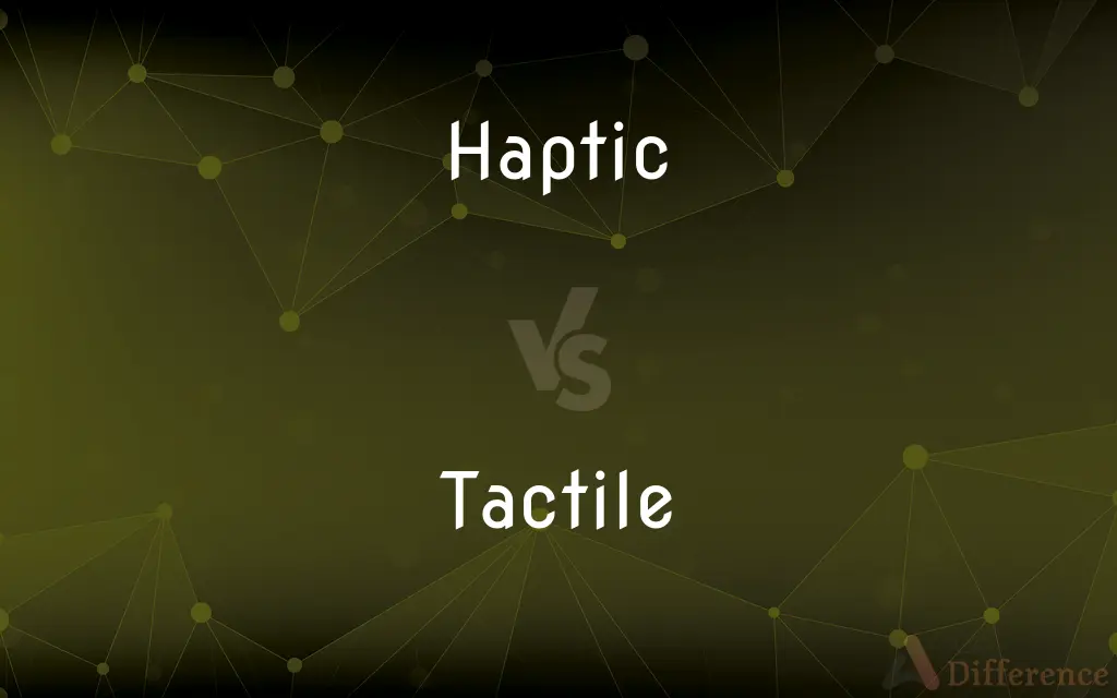 Haptic vs. Tactile — What's the Difference?