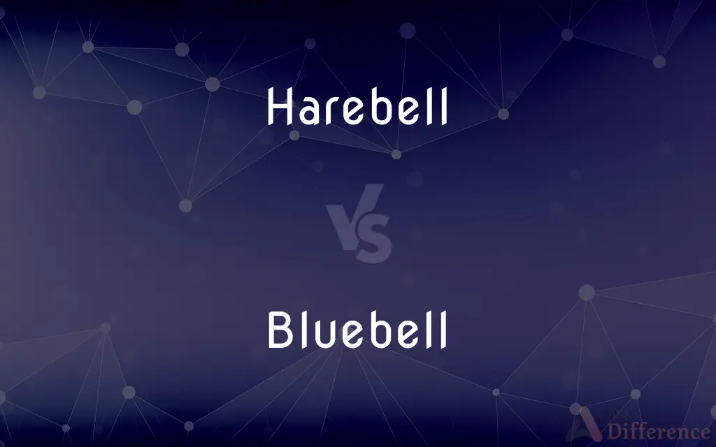 Harebell vs. Bluebell — What's the Difference?