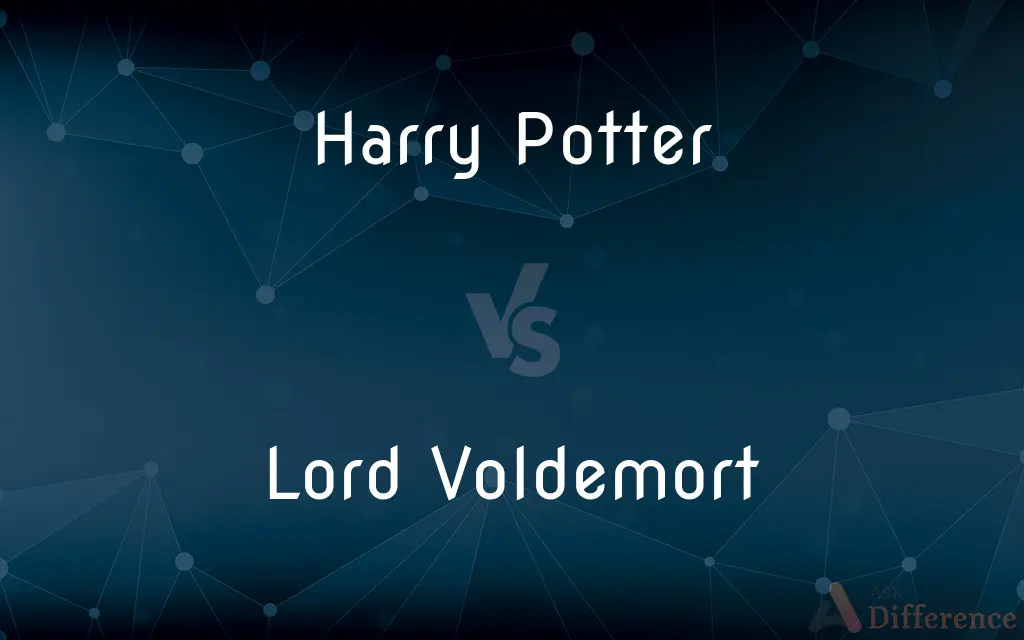 Harry Potter vs. Lord Voldemort — What's the Difference?