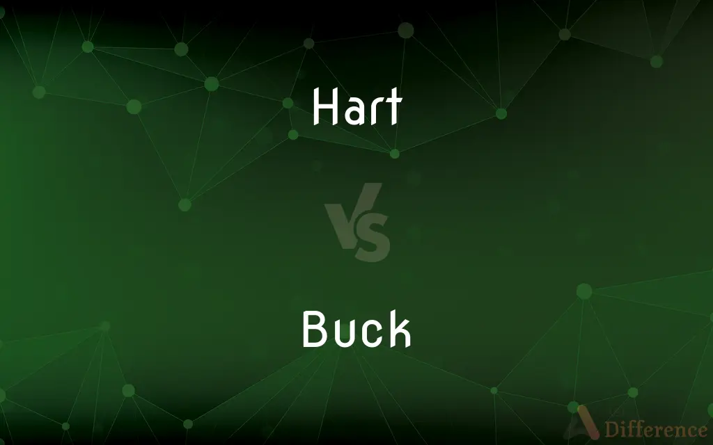 Hart vs. Buck — What's the Difference?