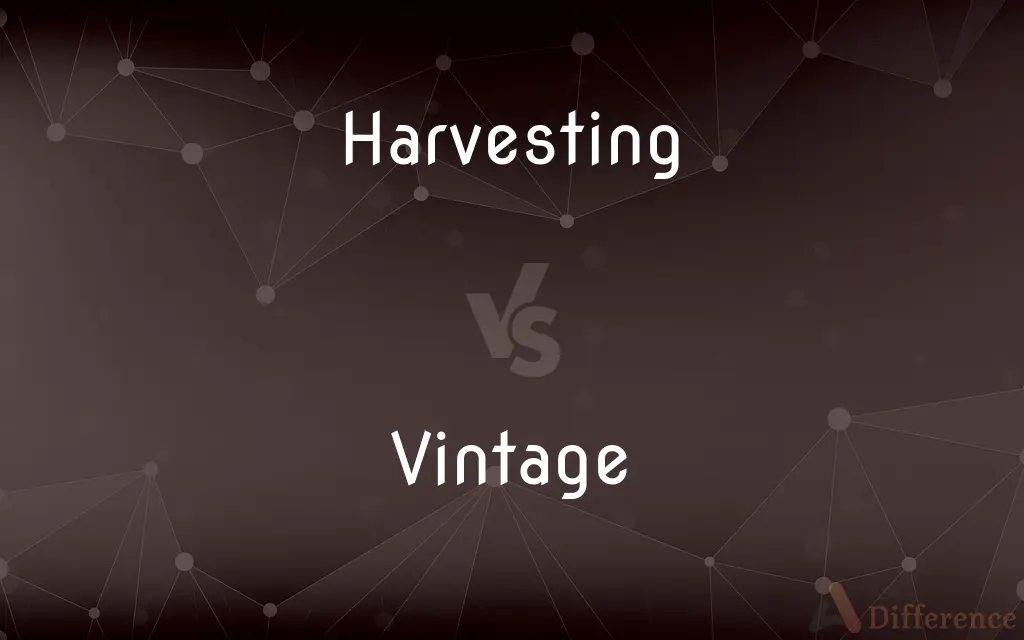 Harvesting vs. Vintage — What's the Difference?
