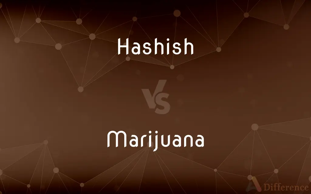 Hashish vs. Marijuana — What's the Difference?