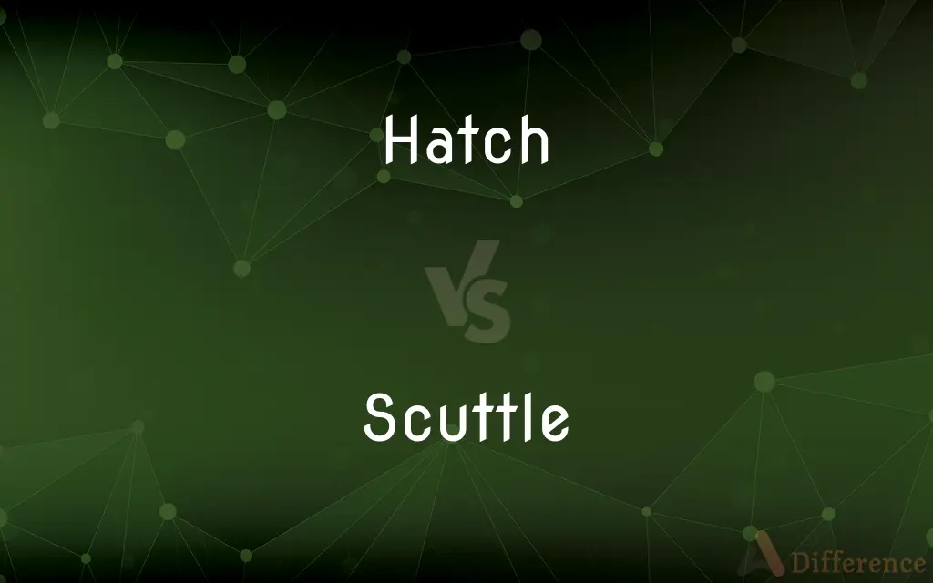 Hatch vs. Scuttle — What's the Difference?