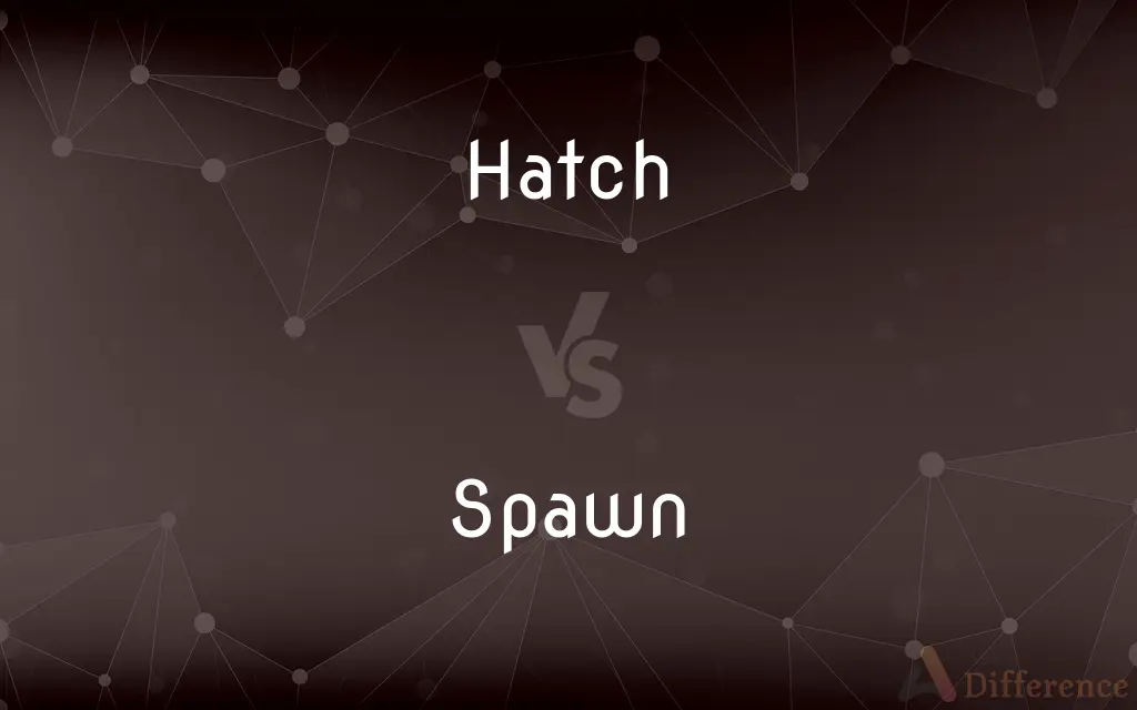 Hatch vs. Spawn — What's the Difference?