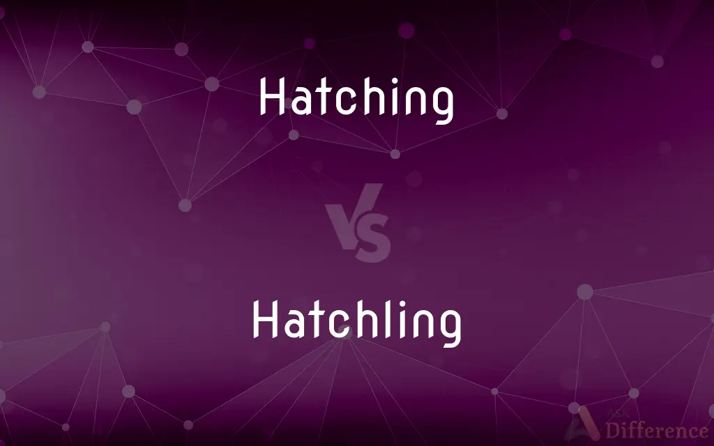 Hatching vs. Hatchling — What's the Difference?