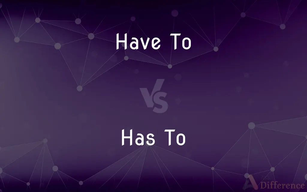 Have To vs. Has To — What's the Difference?