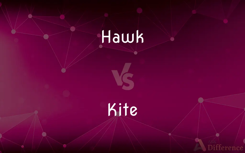 Hawk vs. Kite — What's the Difference?