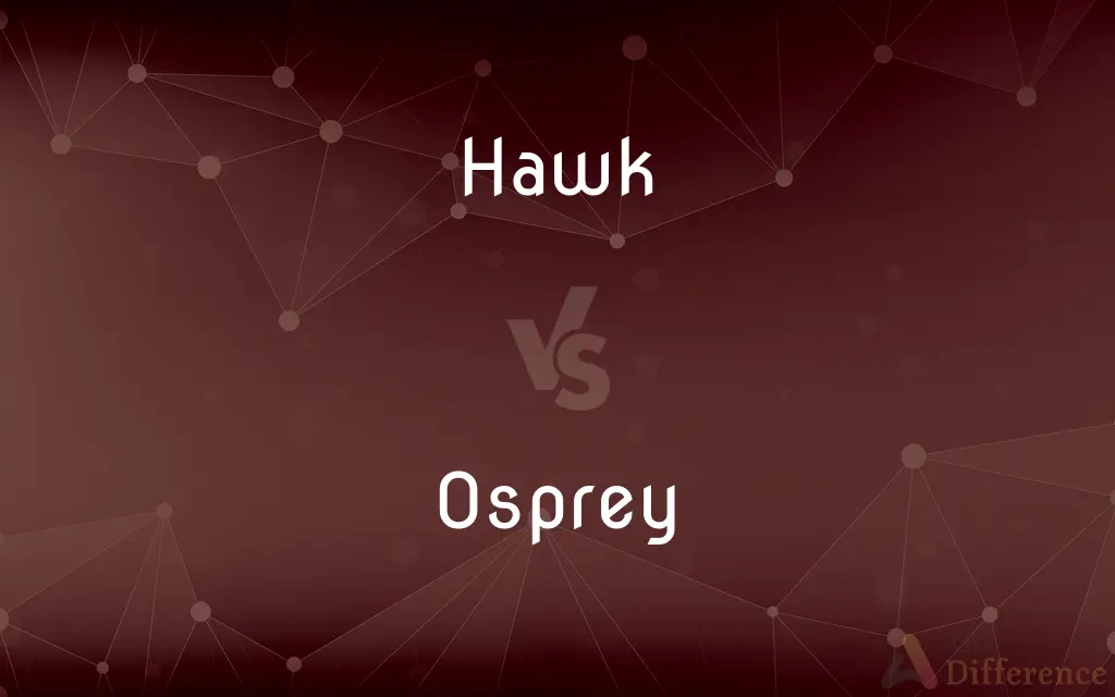 Hawk vs. Osprey — What's the Difference?