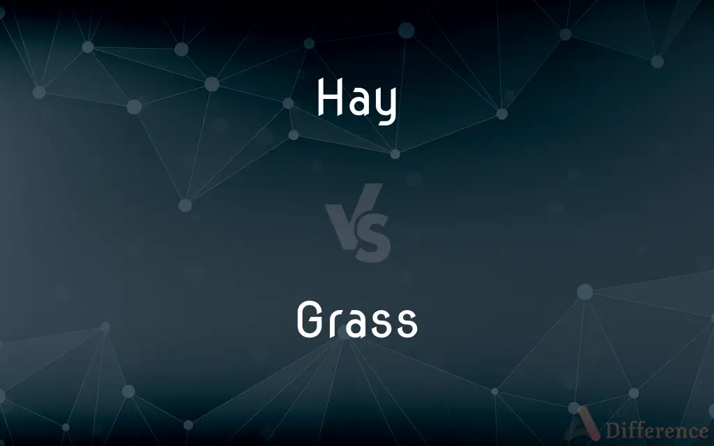 Hay vs. Grass — What's the Difference?