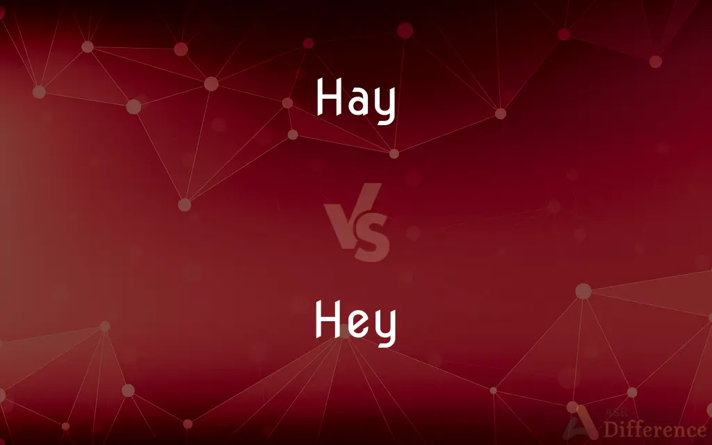 Hay vs. Hey — What's the Difference?