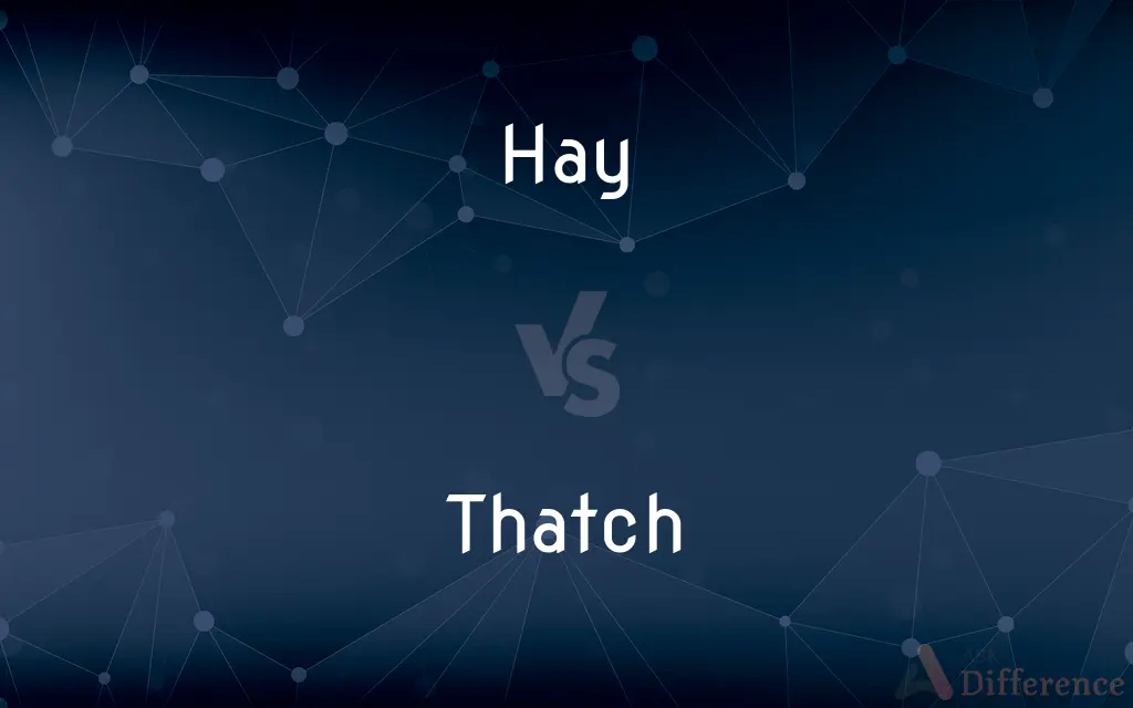 Hay vs. Thatch — What's the Difference?