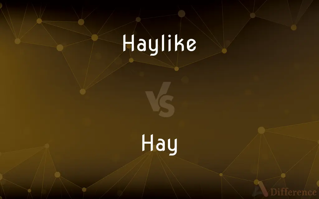 Haylike vs. Hay — What's the Difference?